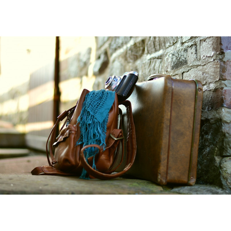 Brown bear notebook prestashop gai